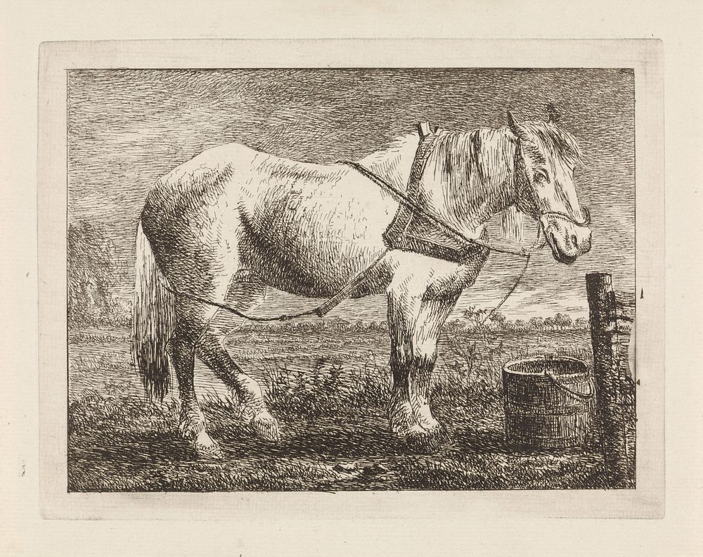 Paard bij een emmer (1745 - 1808) by Gerard van Nijmegen