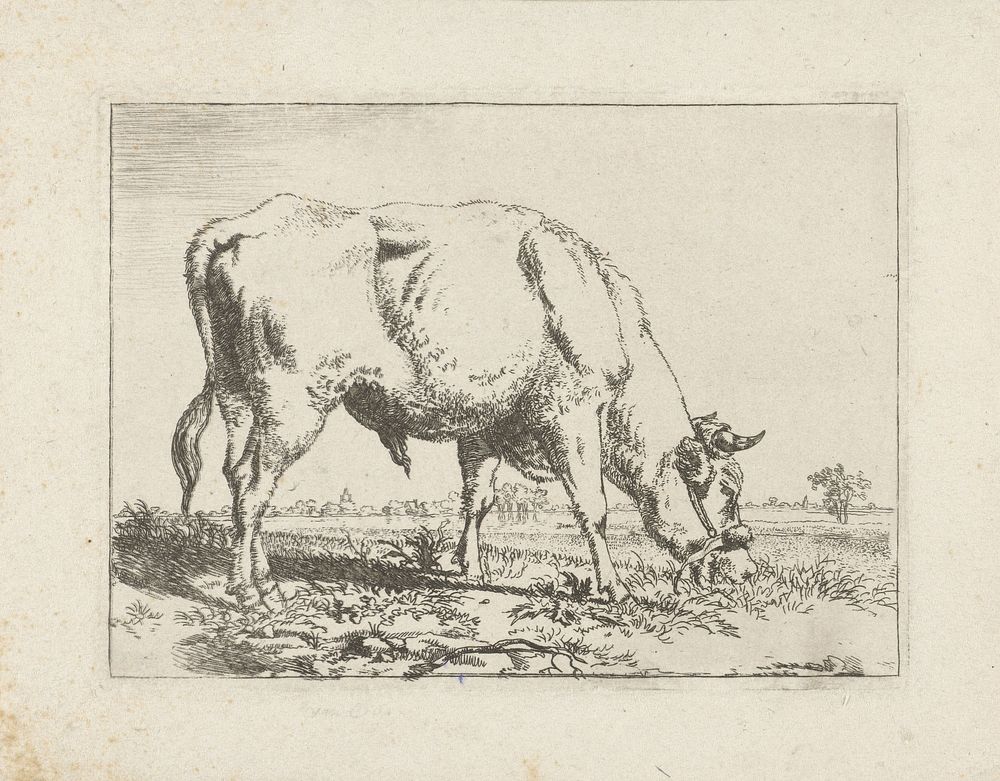 Grazende stier (1798) by Pieter Gerardus van Os
