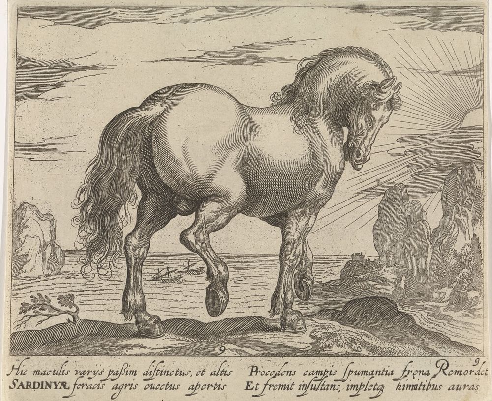 Landschap met paard uit Sardinië (c. 1590 - 1637) by Egbert van Panderen, Antonio Tempesta and Frederik de Wit