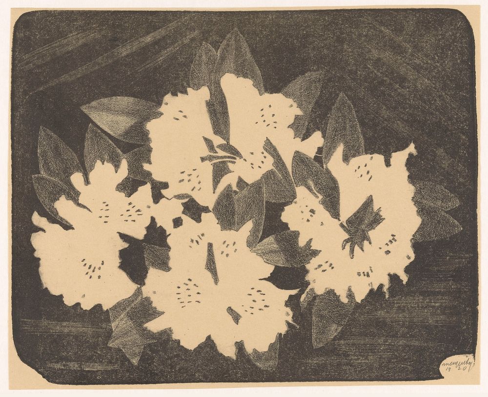 Rhododendron (1920) by Samuel Jessurun de Mesquita