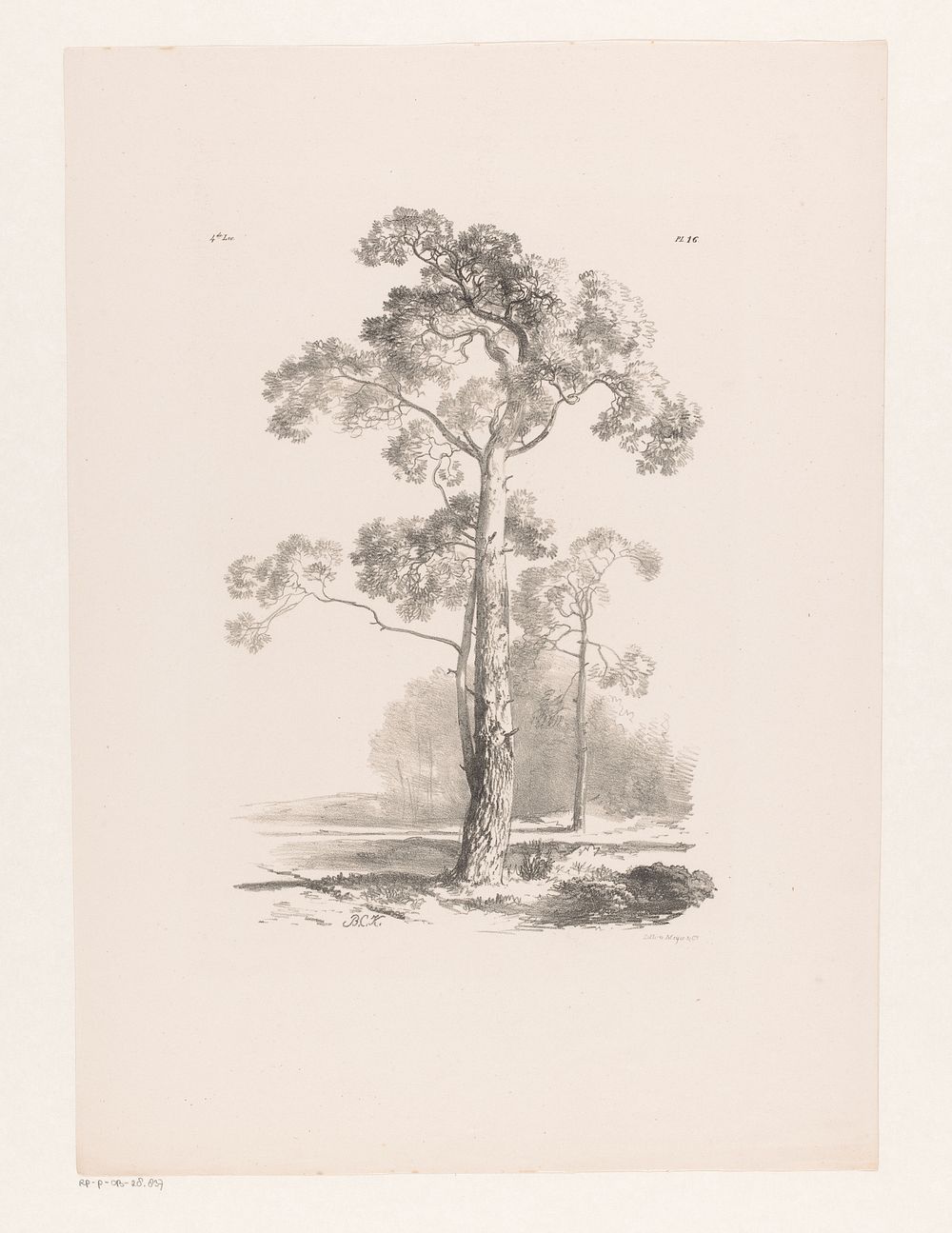 Boom in landschap (1844 - 1845) by Barend Cornelis Koekkoek and Meyer and Comp