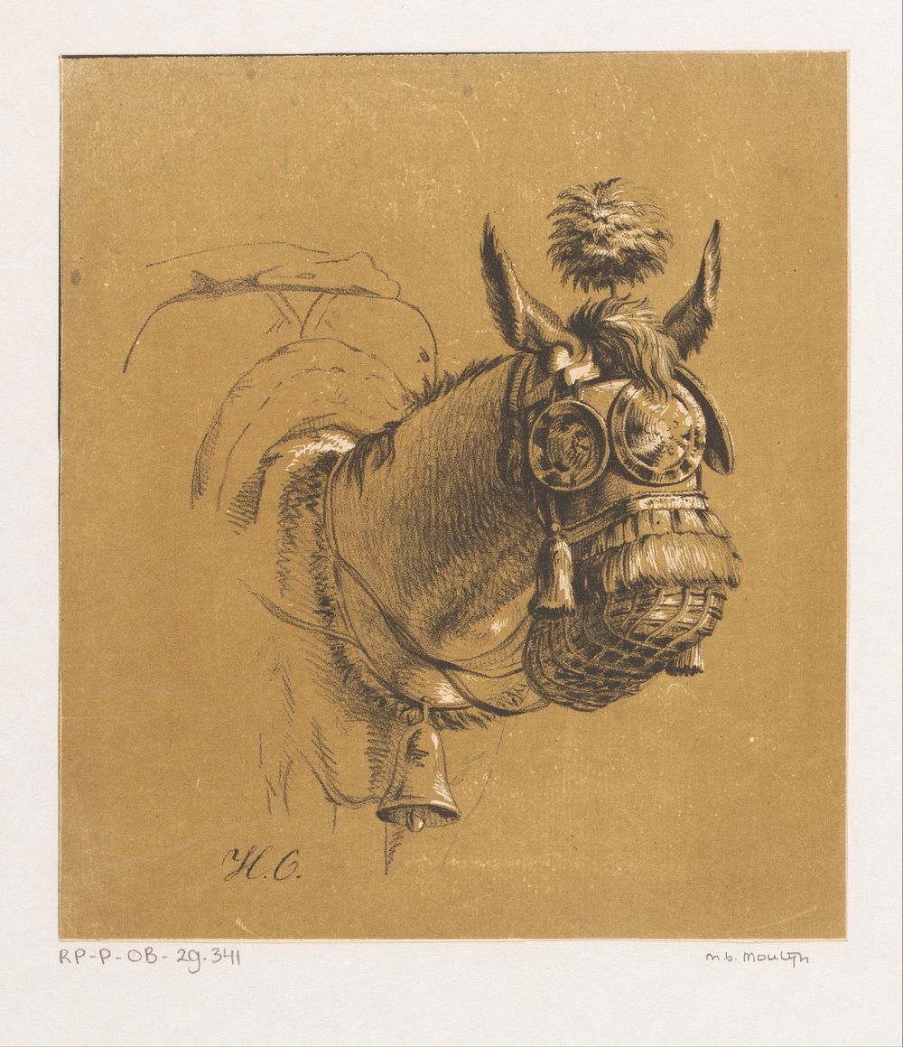 Paardenhoofd met halster (1809 - 1872) by Anthony Jacobus Offermans
