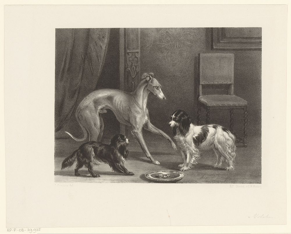 Drie honden (1847 - 1865) by Anthonie van Volkom, Conradijn Cunaeus and Koninklijke Nederlandse Steendrukkerij van C W…