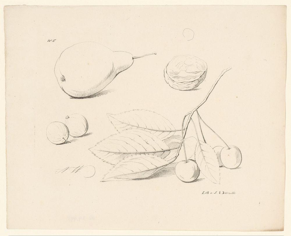 Peer, bessen, walnoot en kersen (1820 - 1833) by Anton Weiss and Jean Augustin Daiwaille