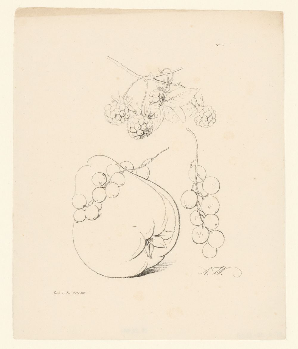 Bramen, peer en bessen (1820 - 1833) by Anton Weiss and Jean Augustin Daiwaille
