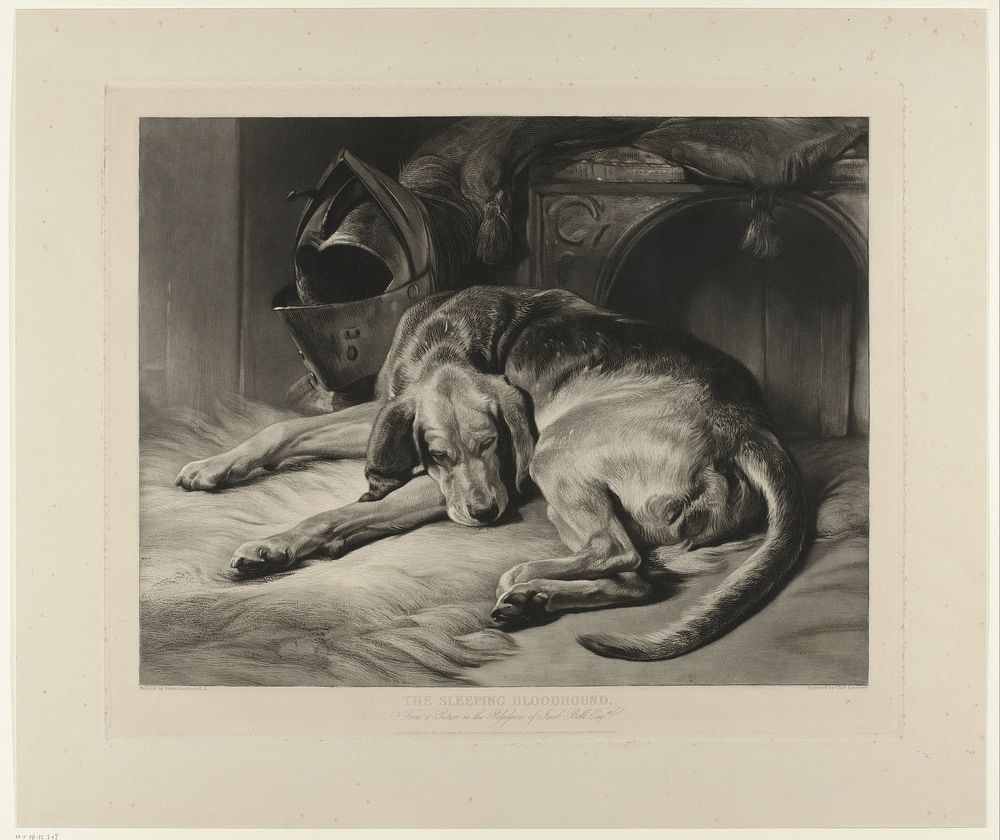 Slapende jachthond (1837) by Thomas Landseer, Edwin Henry Landseer, Francis Graham Moon, Ackermann and Co and Wyatt and Son