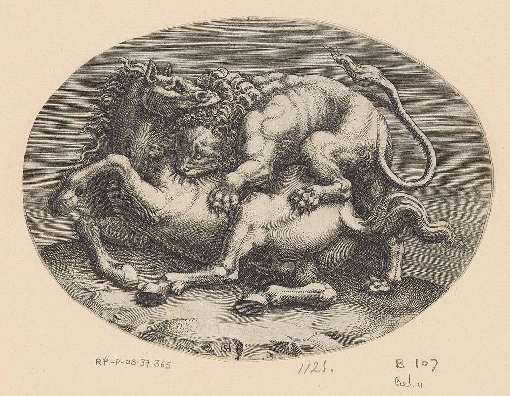 Paard aangevallen door een leeuw (c. 1540 - c. 1585) by Adamo Scultori, Giulio Romano and anonymous