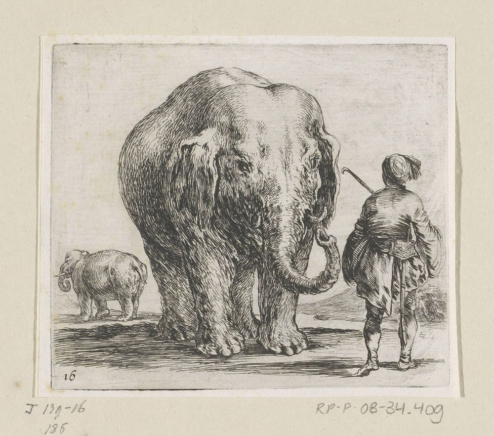 Twee olifanten en een trainer (1632 - 1664) by Stefano della Bella, Pierre Mariette I and Franse kroon