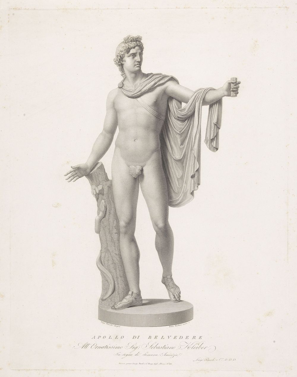 Apollo Belvedere (1772 - 1837) by Pietro Fontana, Luigi Fineschi, Luigi Bardi e Co, Luigi Bardi and Sebastiano Kleiber
