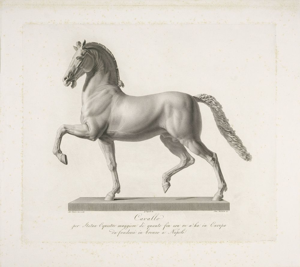 Paard (1790 - 1844) by Domenico Marchetti, Giovanni Tognolli and Antonio Canova