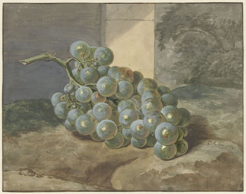 Druiventros (1754) by Gerard Sanders