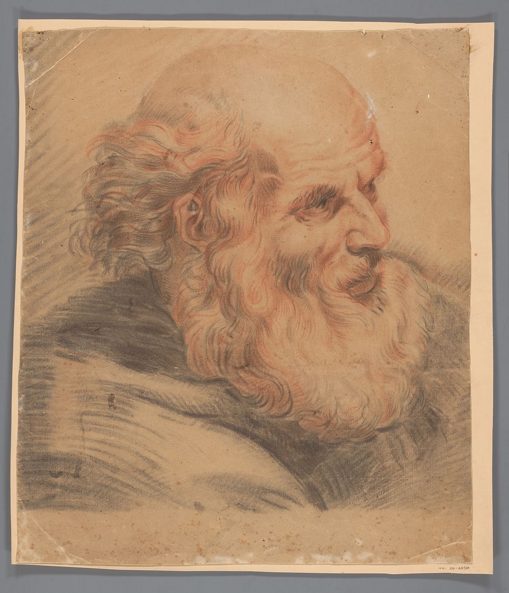 Hoofd van een man met baard (1700 - 1799) by anonymous