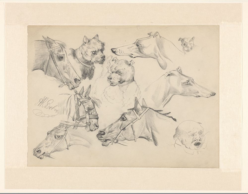 Studieblad met paarden, honden en hoofd van een man (1850 - 1888) by Adrien René Lobry Visbach