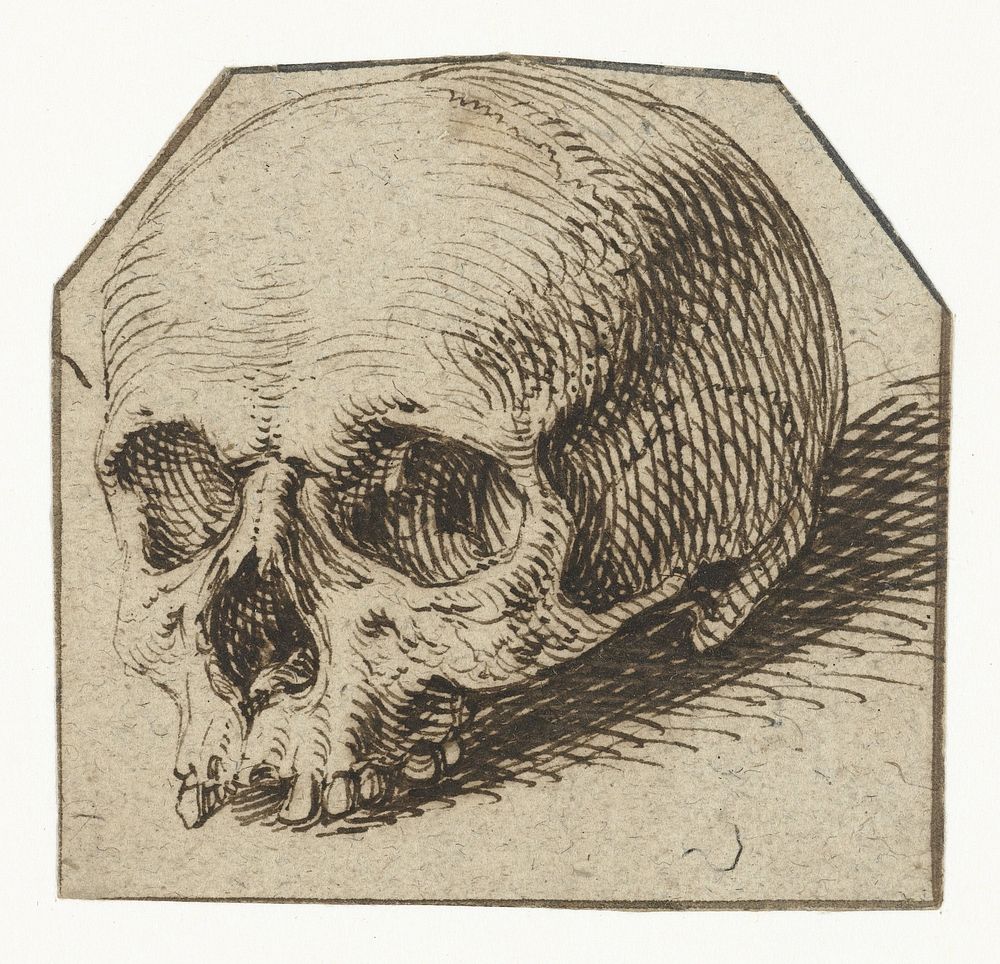 Studie van een schedel (1575 - 1625) by Jacques de Gheyn II