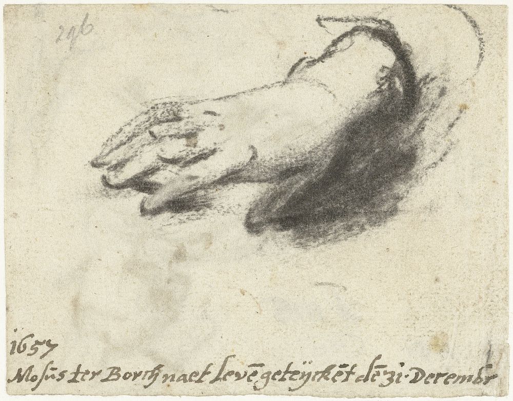 Studie van een hand (1657) by Moses ter Borch