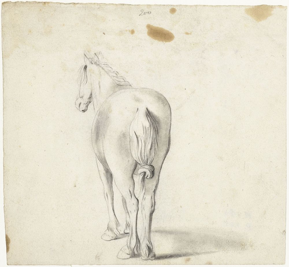 Paard met geknoopte staart, van achteren (c. 1660) by Moses ter Borch
