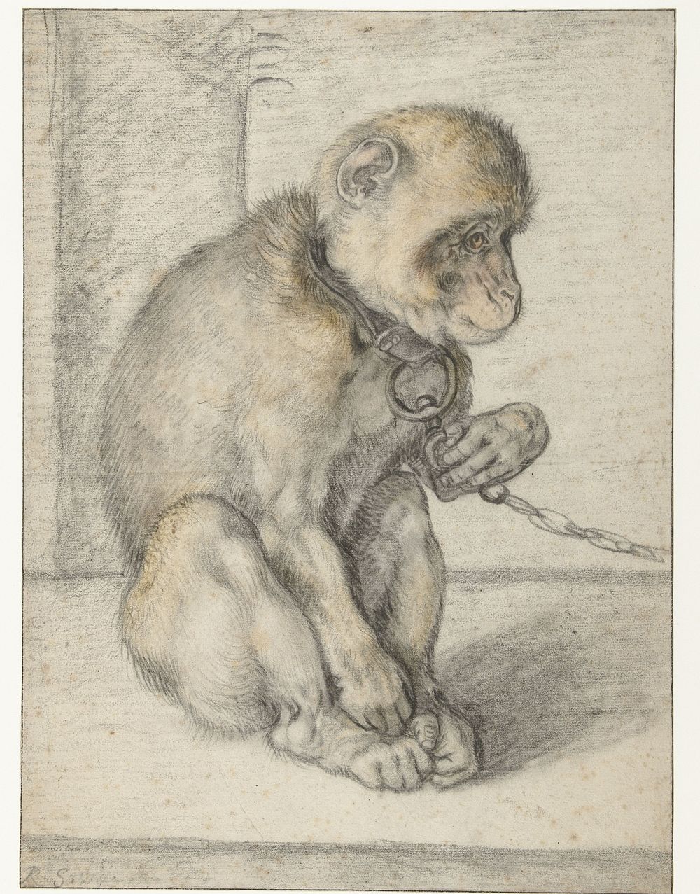 A Seated Monkey on a Chain (1592 - 1602) by Hendrick Goltzius and Roelant Savery