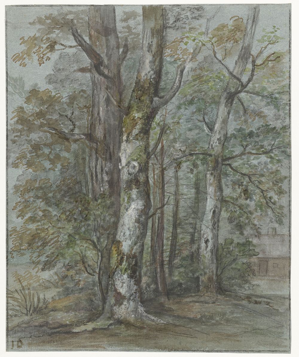 Boomstudie (1780 - 1855) by Jan Dasveldt