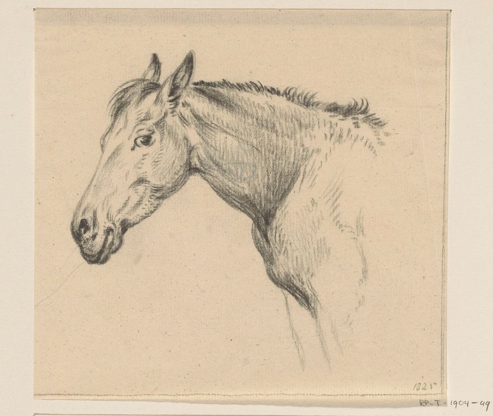 Hoofd van een paard, naar links (1825) by Jean Bernard