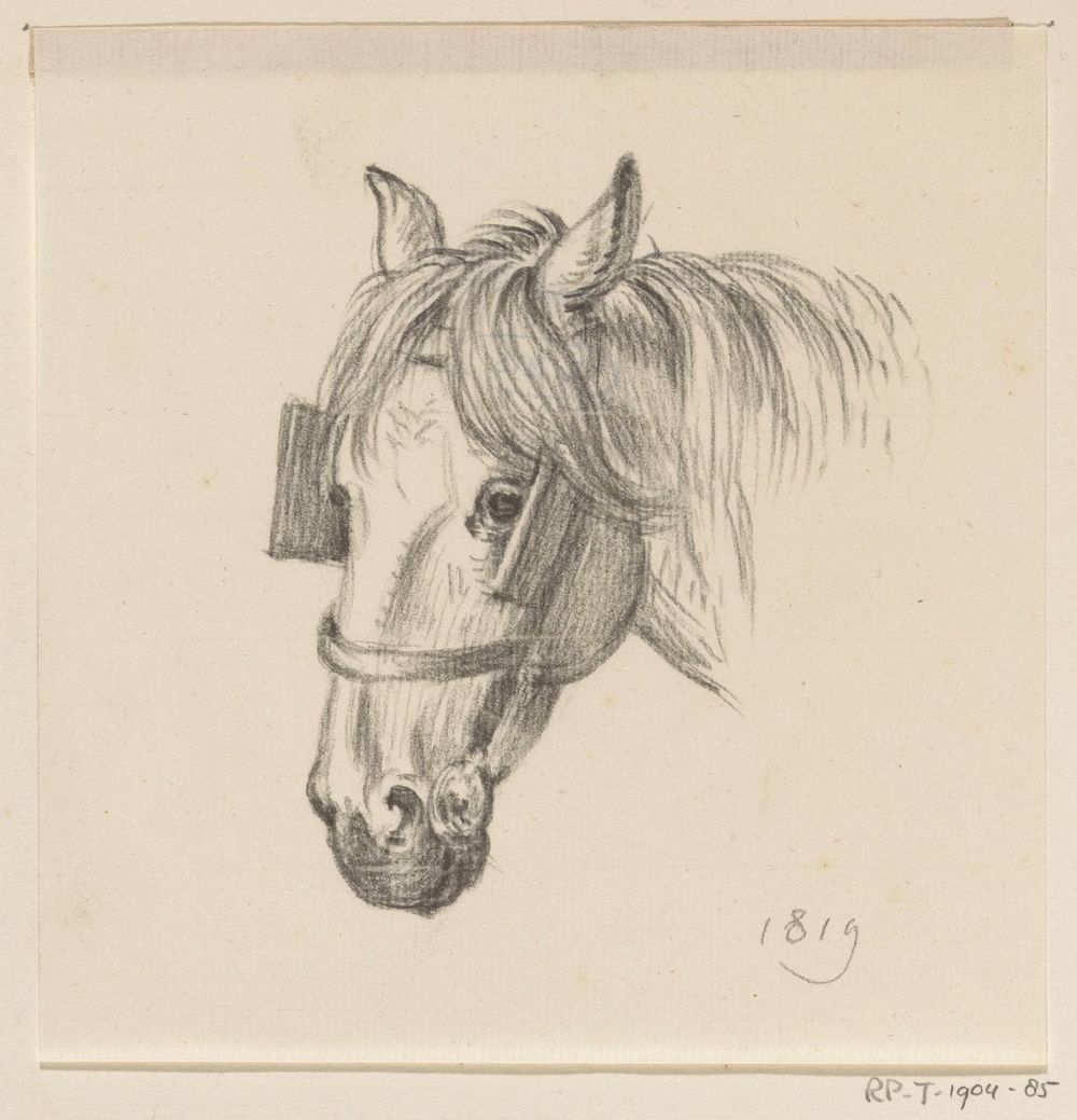Hoofd van een paard met oogkleppen, naar links (1819) by Jean Bernard