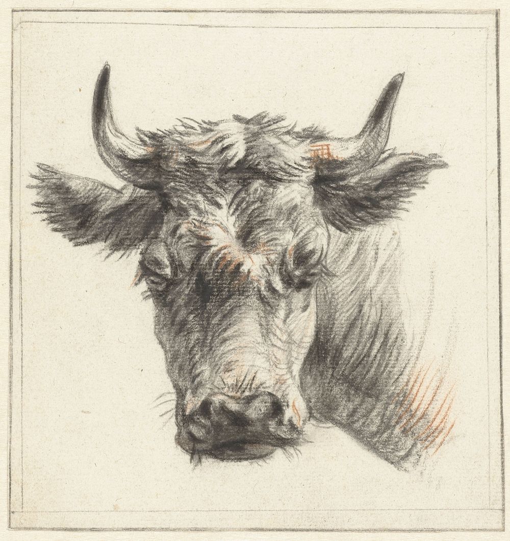 Kop van een rund (1786 - 1839) by Pieter Gerardus van Os
