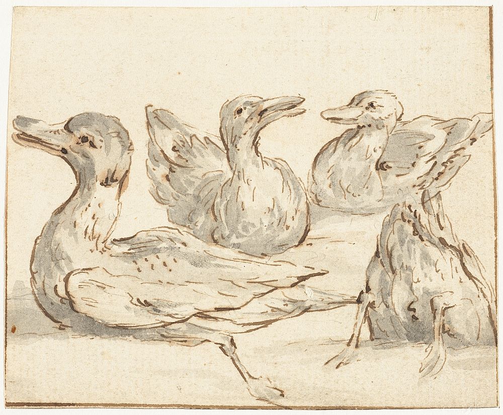 Vier eenden in het water (1620 - 1690) by David Teniers II
