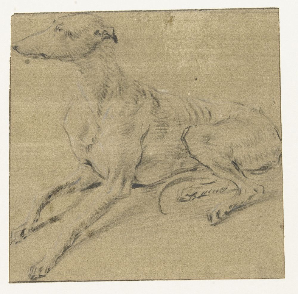 Een liggende hond, van opzij gezien (1589 - 1657) by Frans Snijders