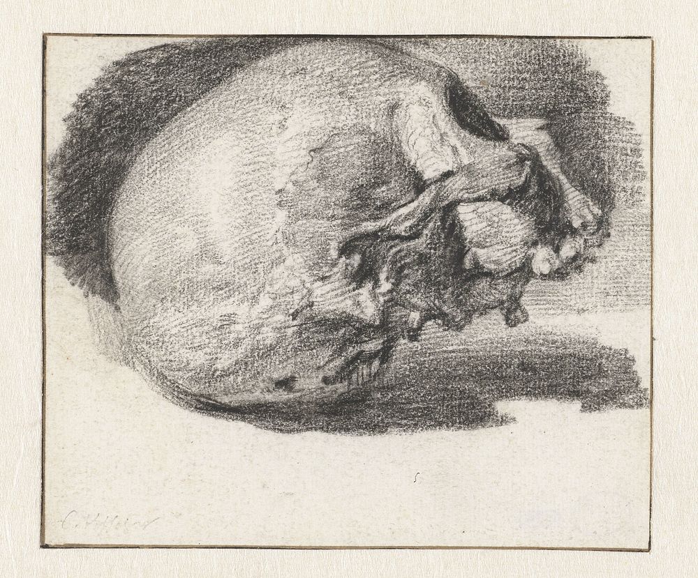 Study of a Skull, Facing Right (c. 1654 - c. 1658) by Cornelis Visscher II