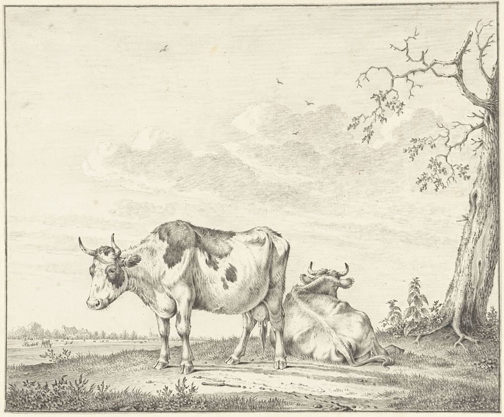Twee koeien (1775 - 1851) by Pieter Janson