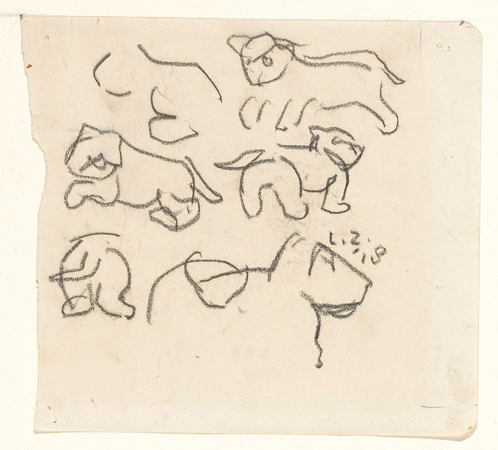 Schetsen van jong leeuwtje (1918) by Lambertus Zijl