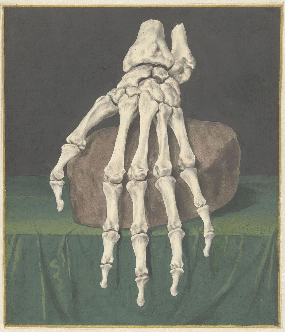 Skelet van een hand (1709 - 1773) by Jan l Admiral
