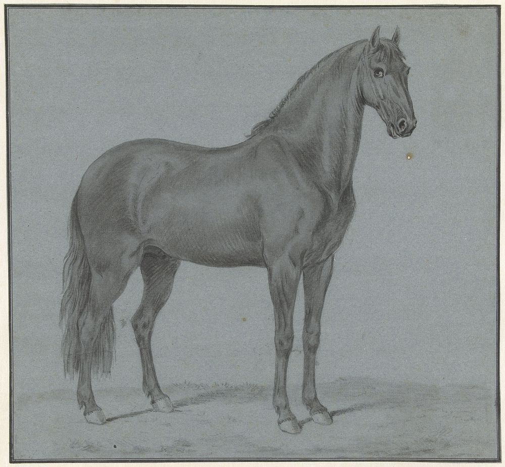Het paard van Monsieur de Guille (1747 - 1812) by Tethart Philip Christian Haag