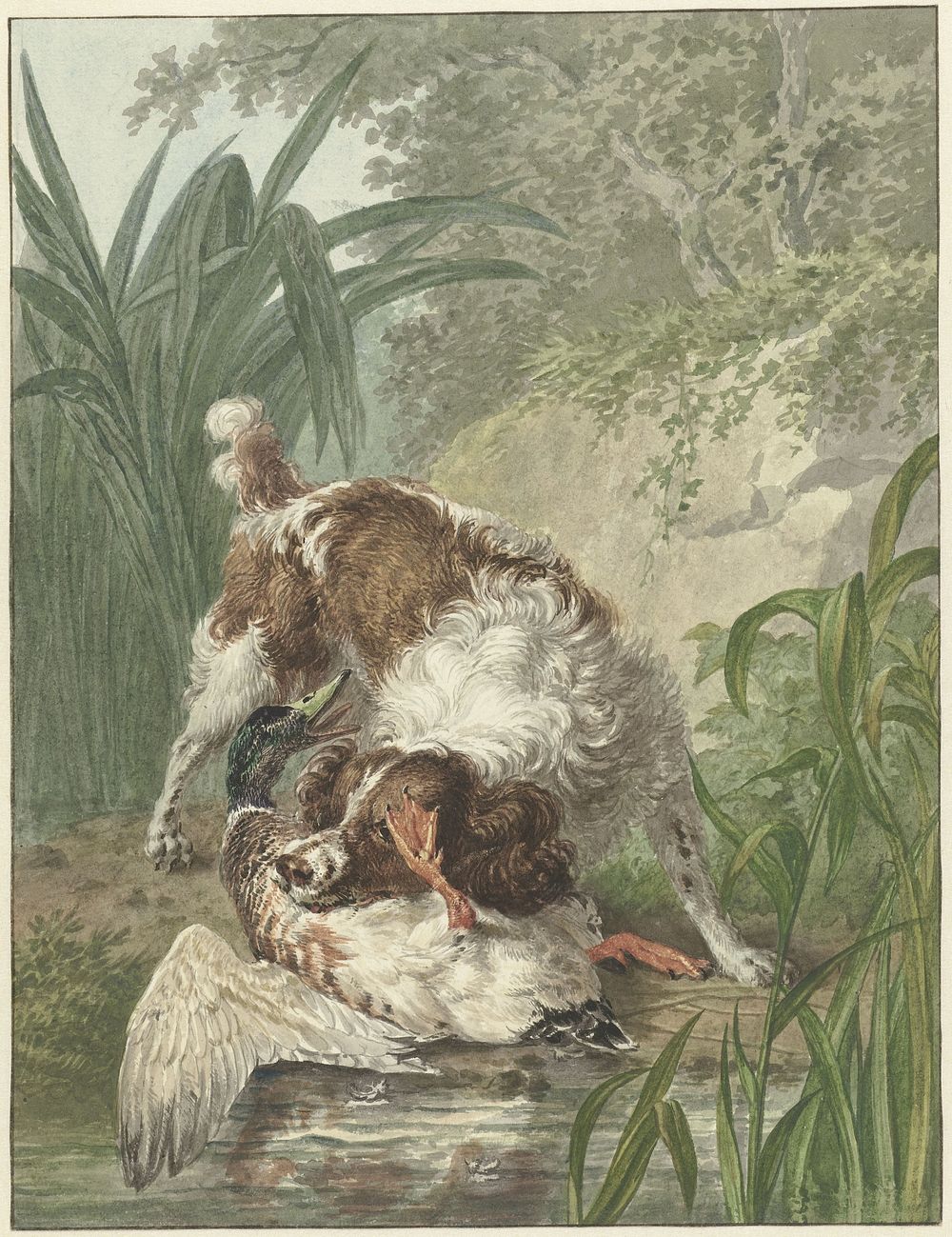 Jachthond vangt een eend (1754 - 1831) by Wybrand Hendriks