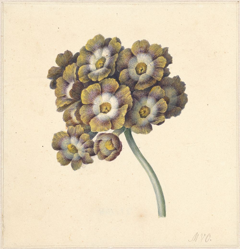 Bloemenstudie (1790 - 1862) by Maria Margaretha van Os