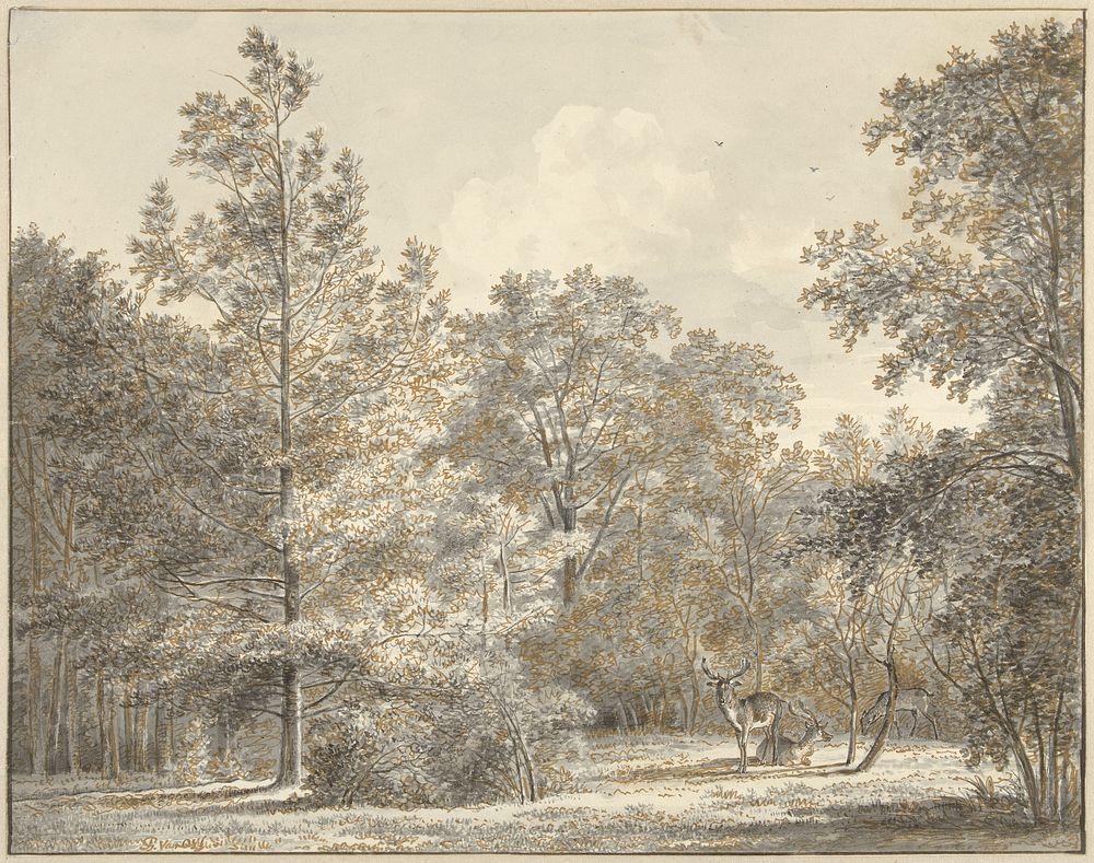 Herten in een bos (1786 - 1839) by Pieter Gerardus van Os
