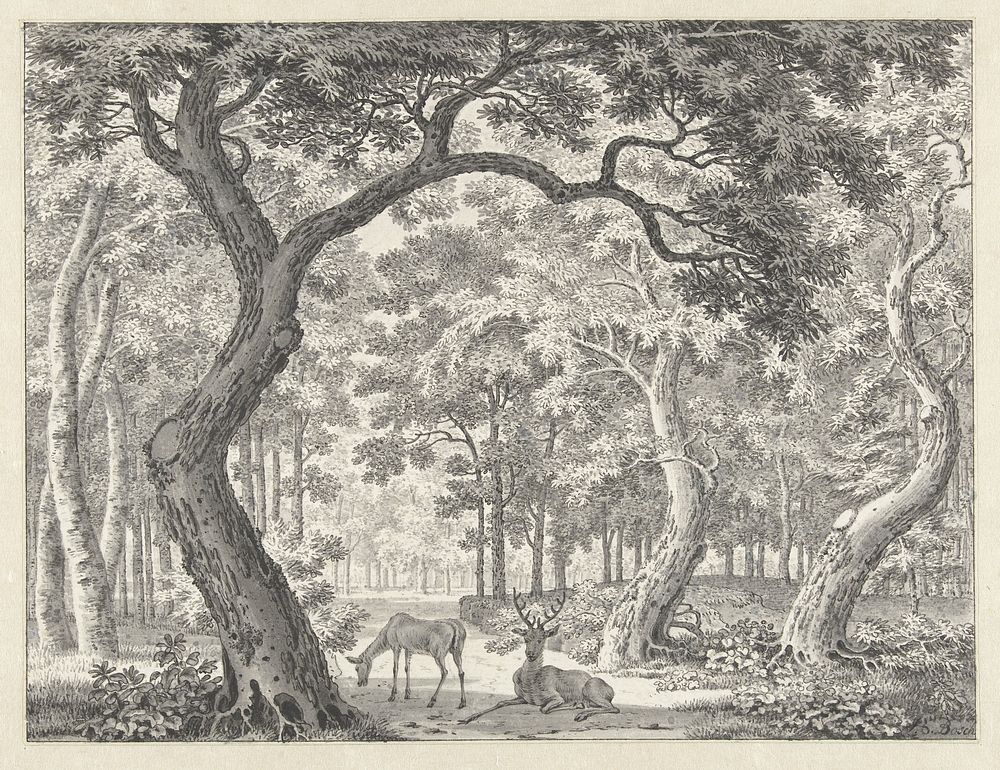 Bosgezicht met twee herten (1760) by Johannes de Bosch