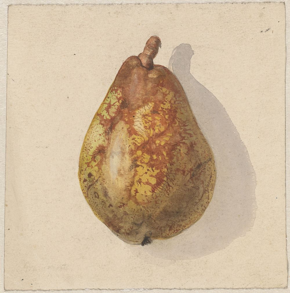 Peer (1836 - 1895) by Gerardina Jacoba van de Sande Bakhuyzen