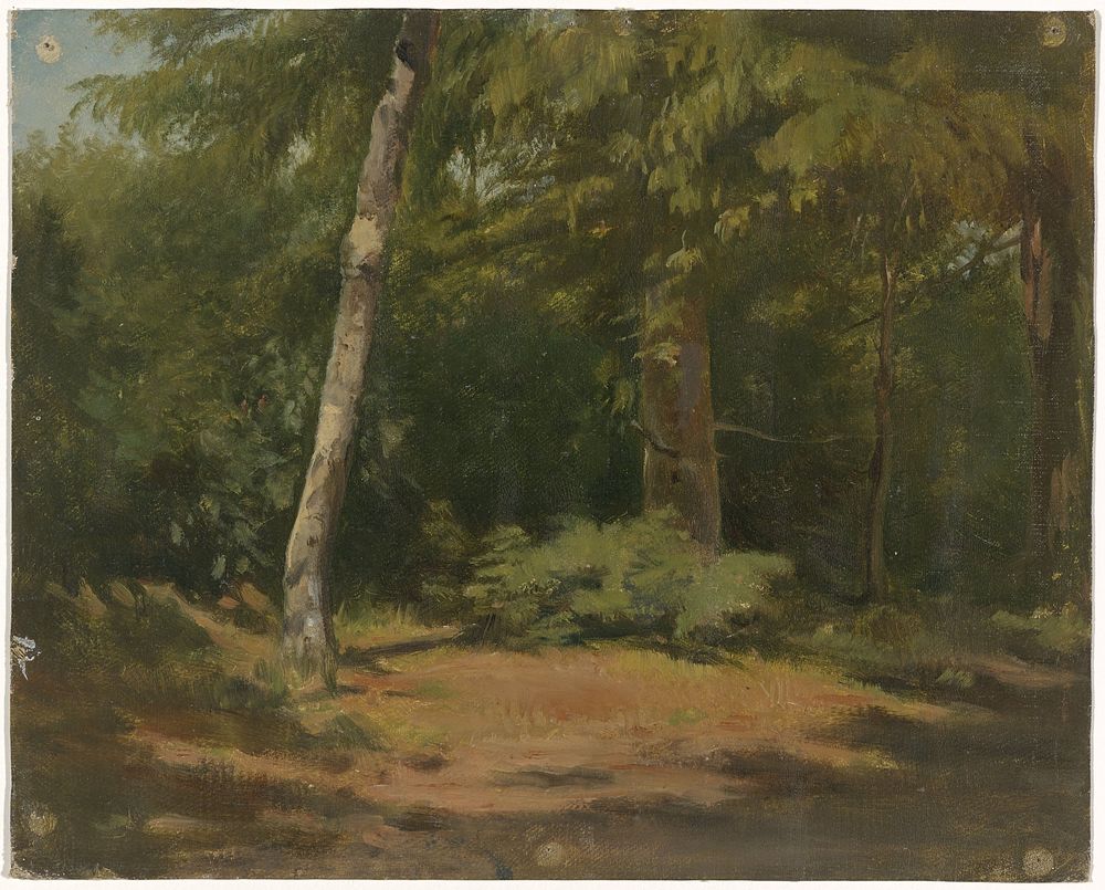 Open plek in het bos (1821 - 1891) by Guillaume Anne van der Brugghen