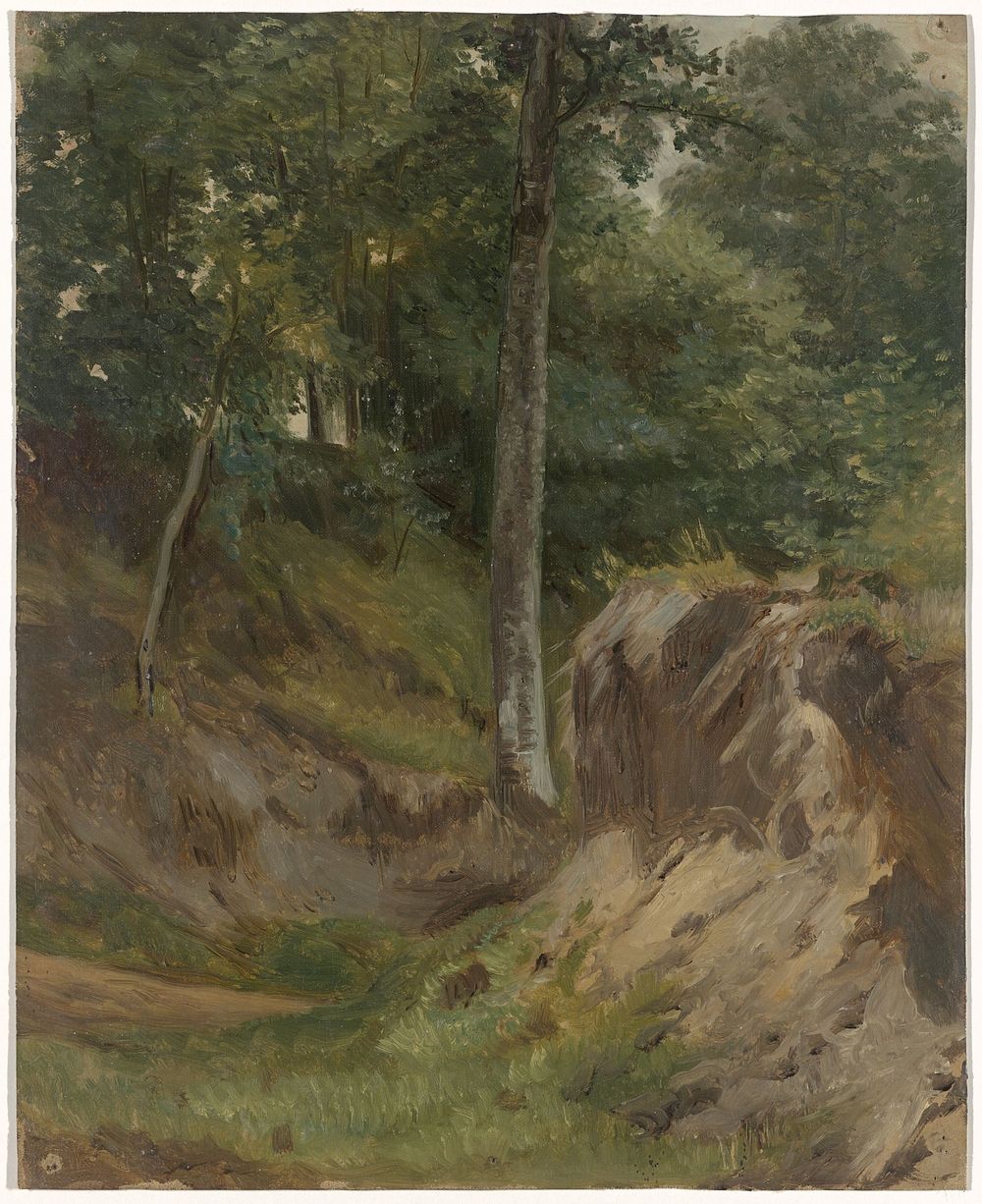 Droog beekje in het bos (1821 - 1891) by Guillaume Anne van der Brugghen