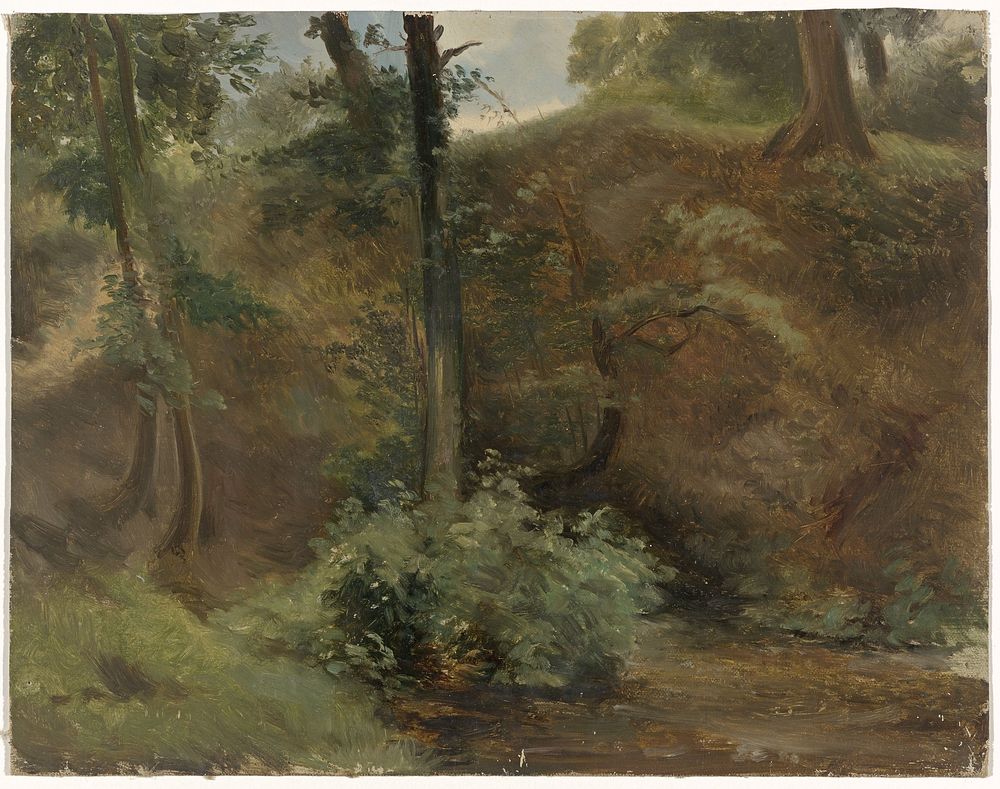 Bomen in een duinlandschap (1821 - 1891) by Guillaume Anne van der Brugghen