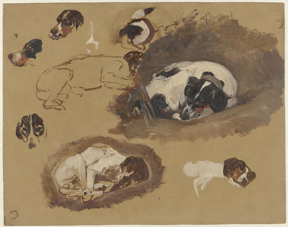 Studies van een jachthond (1821 - 1891) by Guillaume Anne van der Brugghen