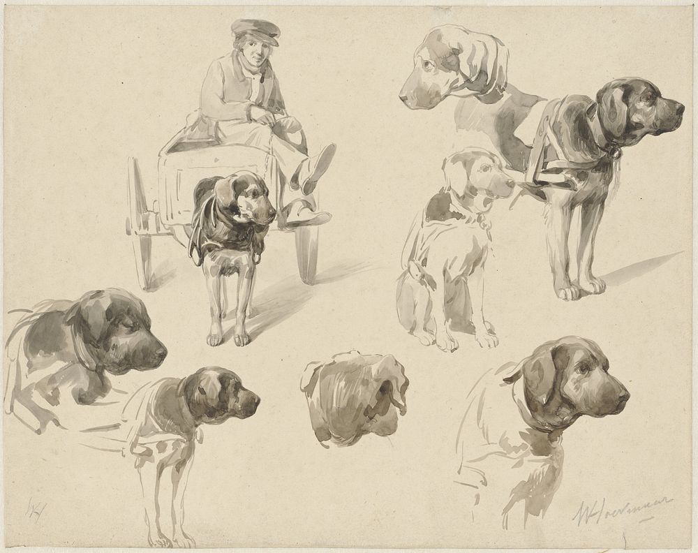 Studies van een hondenkar en een hond (1818 - 1863) by Willem Pieter Hoevenaar