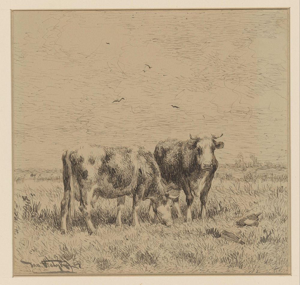 Twee koeien in een weiland (1884) by Jan Vrolijk