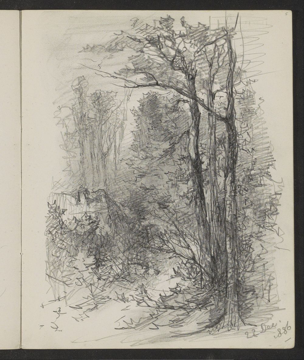 Bospad (1886) by Maria Vos