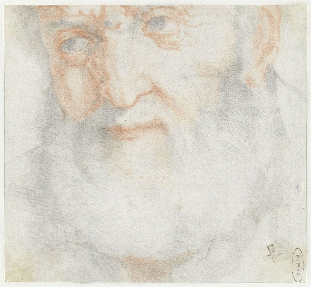 Kop van een oude man met baard (1604 - 1646) by Francesco Furini