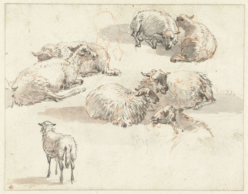 Schetsblad met groepen schapen (1786 - 1839) by Pieter Gerardus van Os