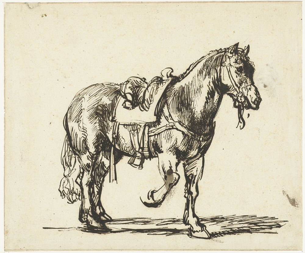 Paard van de Barmhartige Samaritaan (1640 - 1643) by Govert Flinck