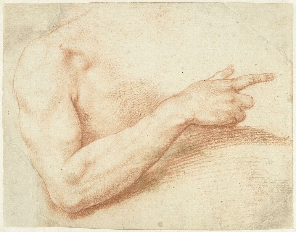Studie van een arm (1578 - 1640) by Giuseppe Cesari