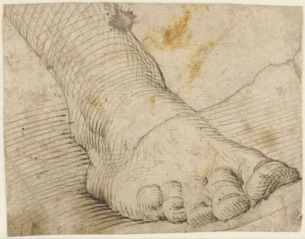 Studie van een rechtervoet, schuin van voren (1567 - 1602) by Agostino Carracci