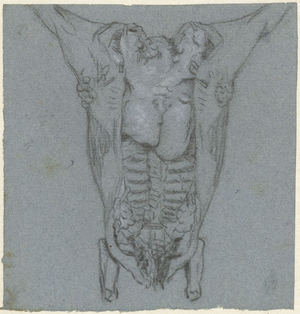 Hangend geslacht rund (1763 - 1833) by Jordanus Hoorn